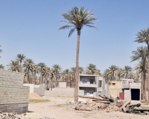 المحاكم لا تعترف بمكاتبات البيع الخارجي للأراضي الزراعية وتحويلها الى سكنية