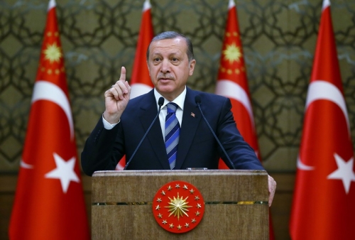 أردوغان: عملياتنا العسكرية مستمرة في سوريا 
