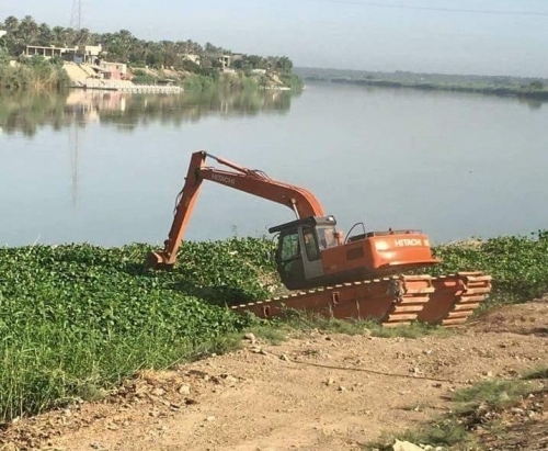 صرف 500 مليون دينار لإزالة زهرة النيل من حوضي دجلة والفرات