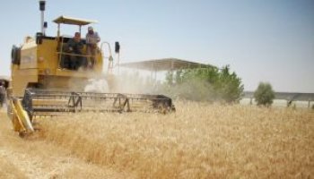 العبادي: مجلس الوزراء خصص تريليوني دينار لدعم الفلاحين وسنصرف مستحقاتهم هذا العام 