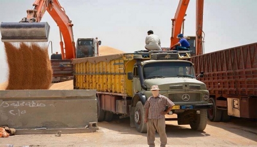 البرلمان: إضافة فقرة عن مستحقات الفلاحين على جدول أعمال جلسة اليوم