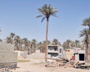 المحاكم لا تعترف بمكاتبات البيع الخارجي للأراضي الزراعية وتحويلها الى سكنية